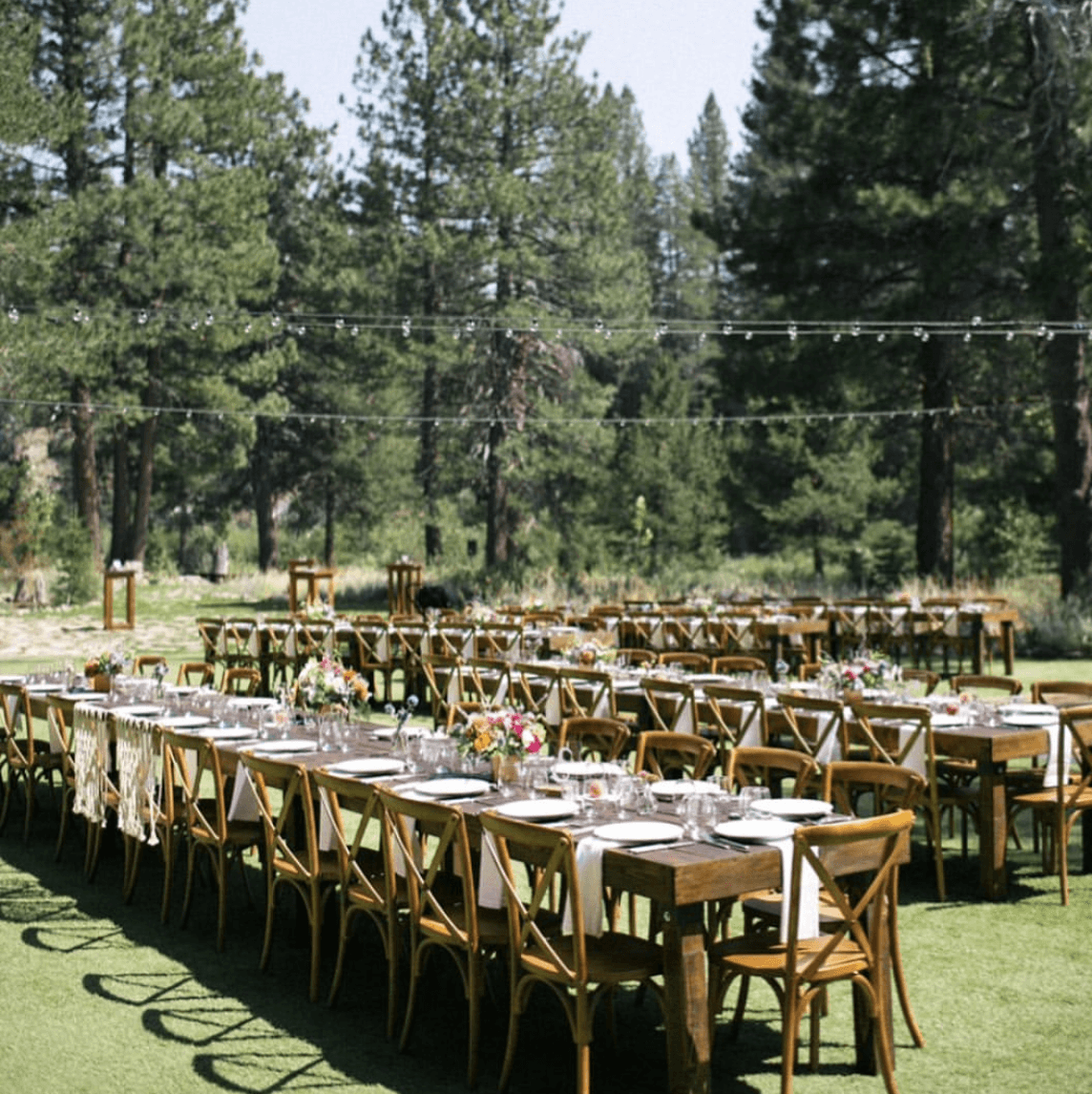 Dancing Pines portfolio 3