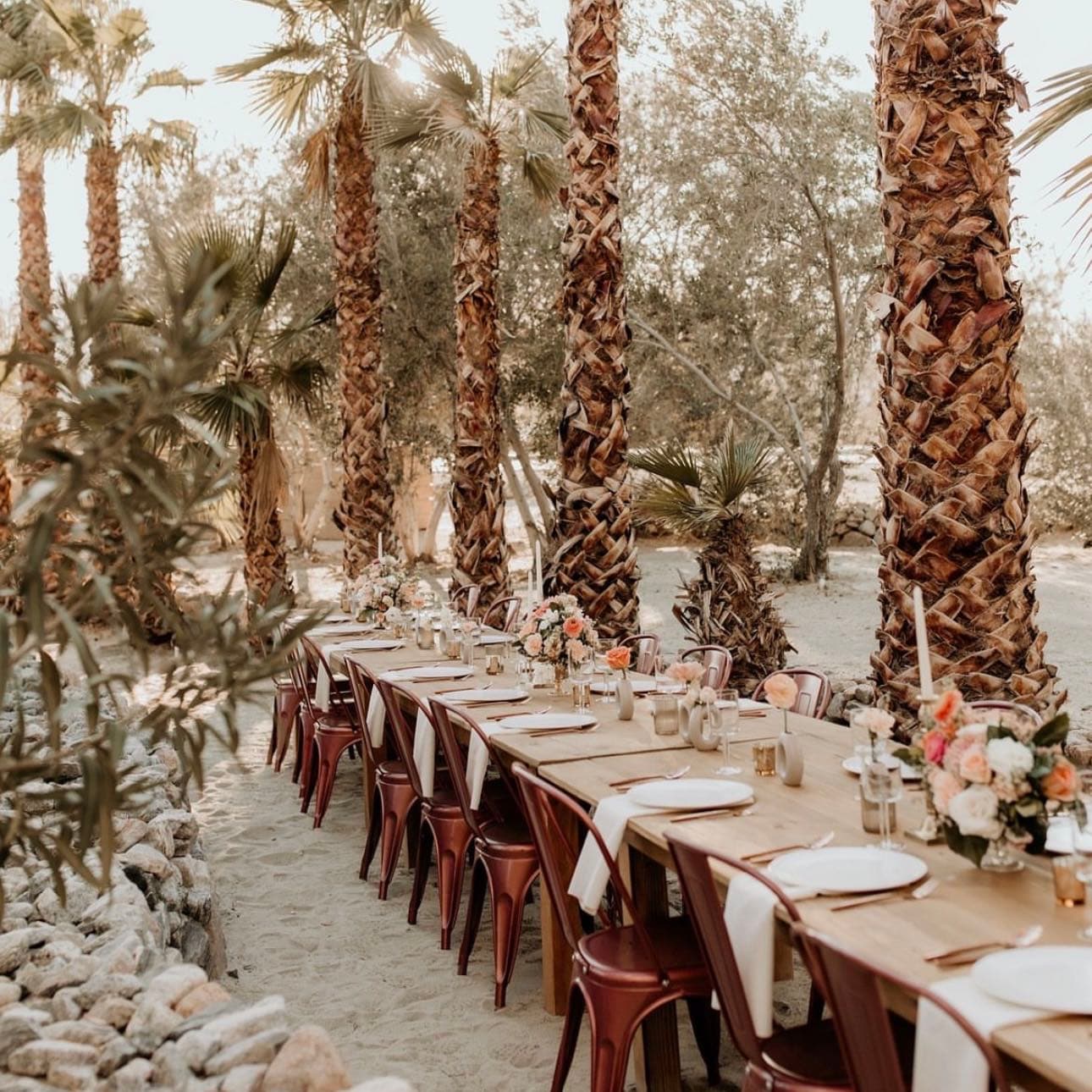 Penny Lane Ranch  portfolio 5