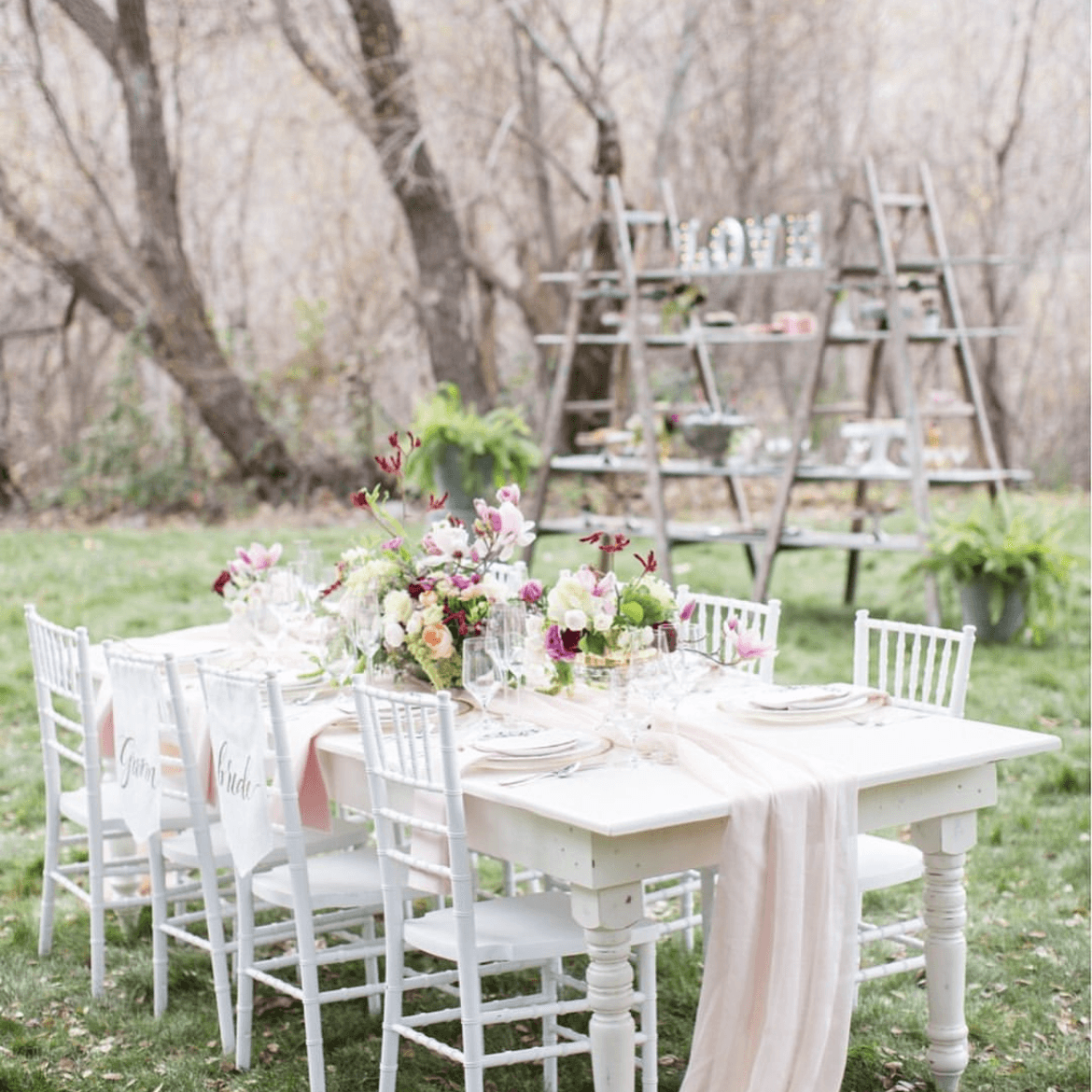 Alexis Party Rentals