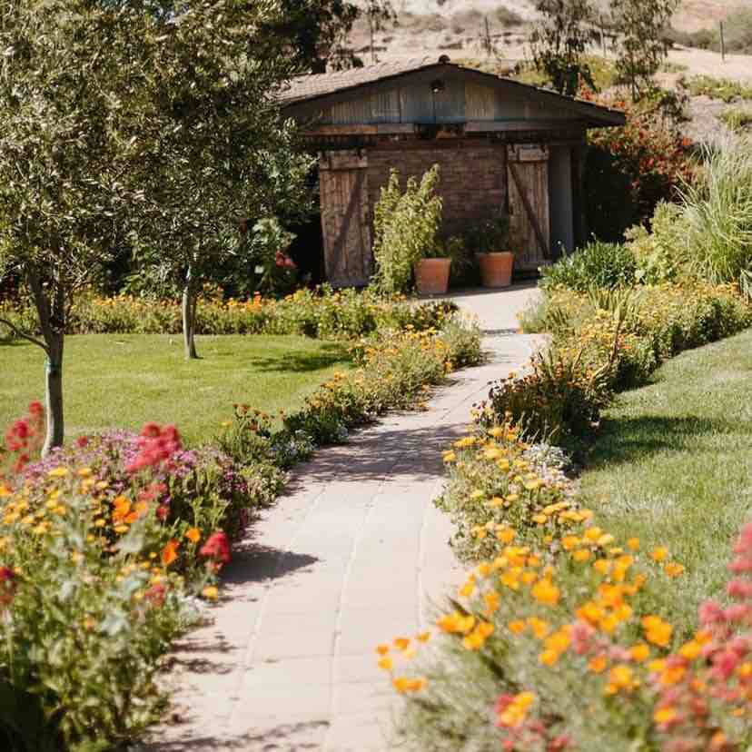 La Arboleda portfolio 2