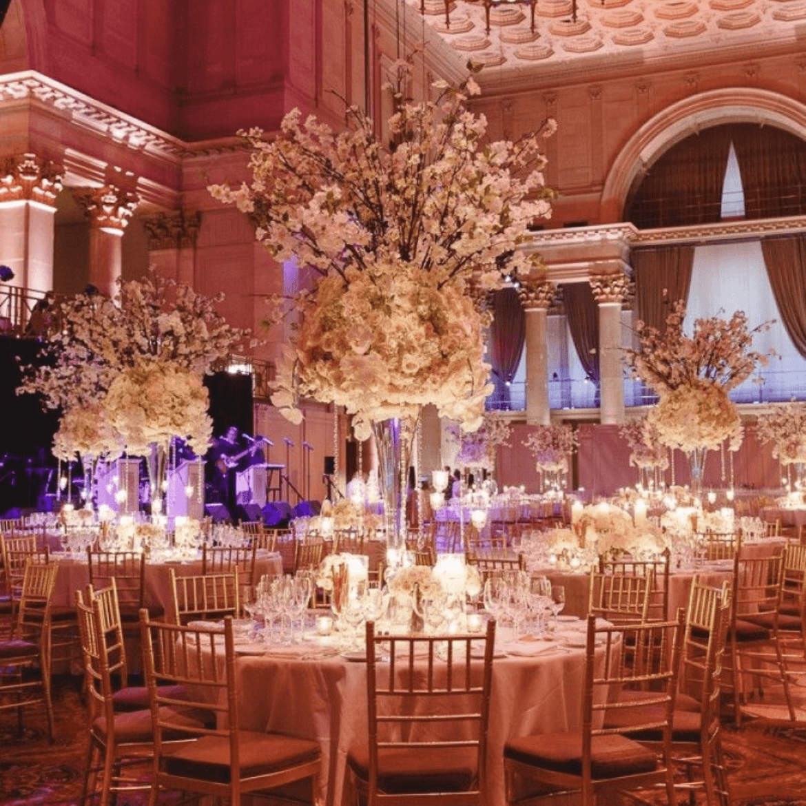 Cipriani Wall Street portfolio 5