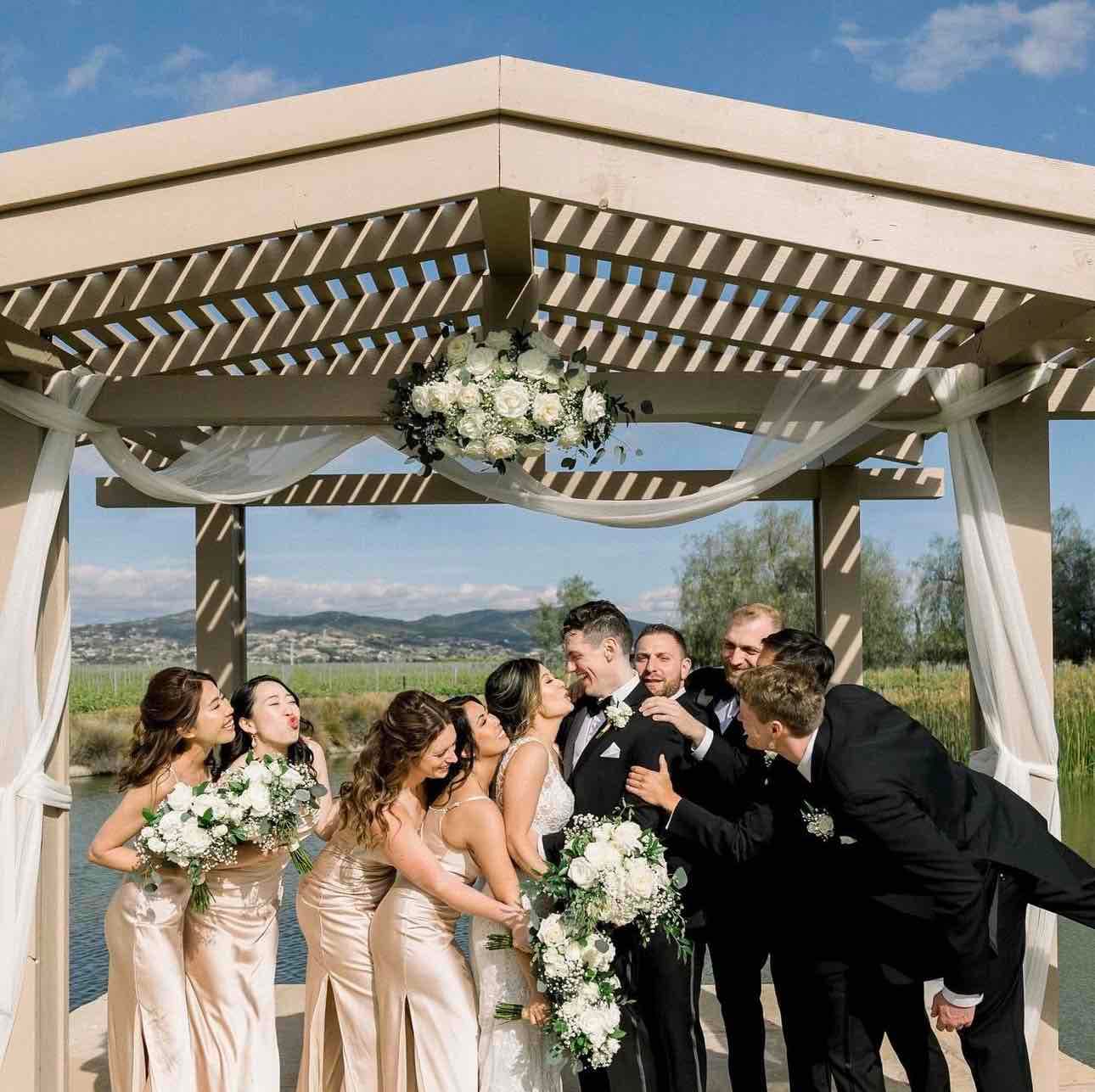 Silver and Sage Weddings  portfolio 3