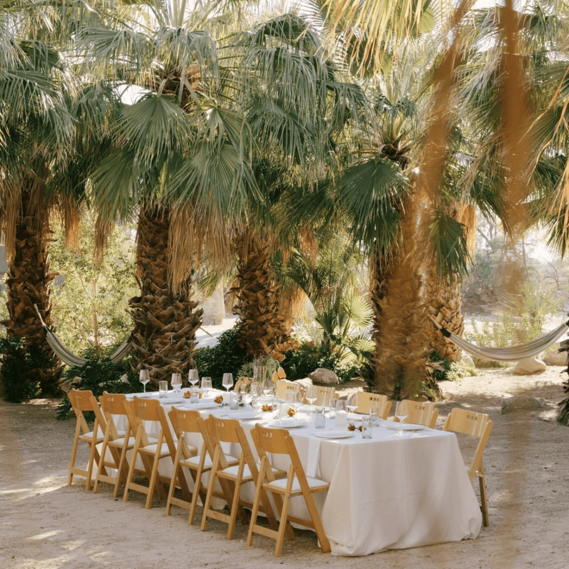 Two Bunch Palms  portfolio 3