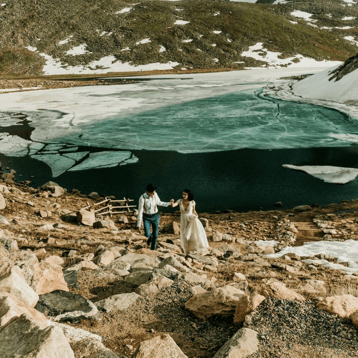 Wildflower West Collective — main