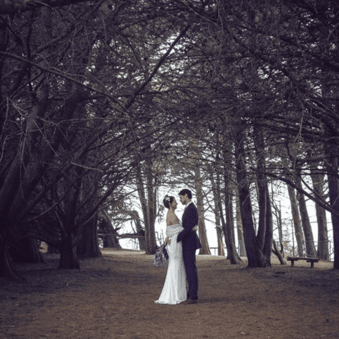 Ragged Point Inn & Resort  portfolio 5