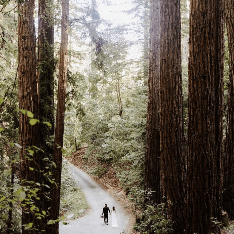 Muir Woods Elopement