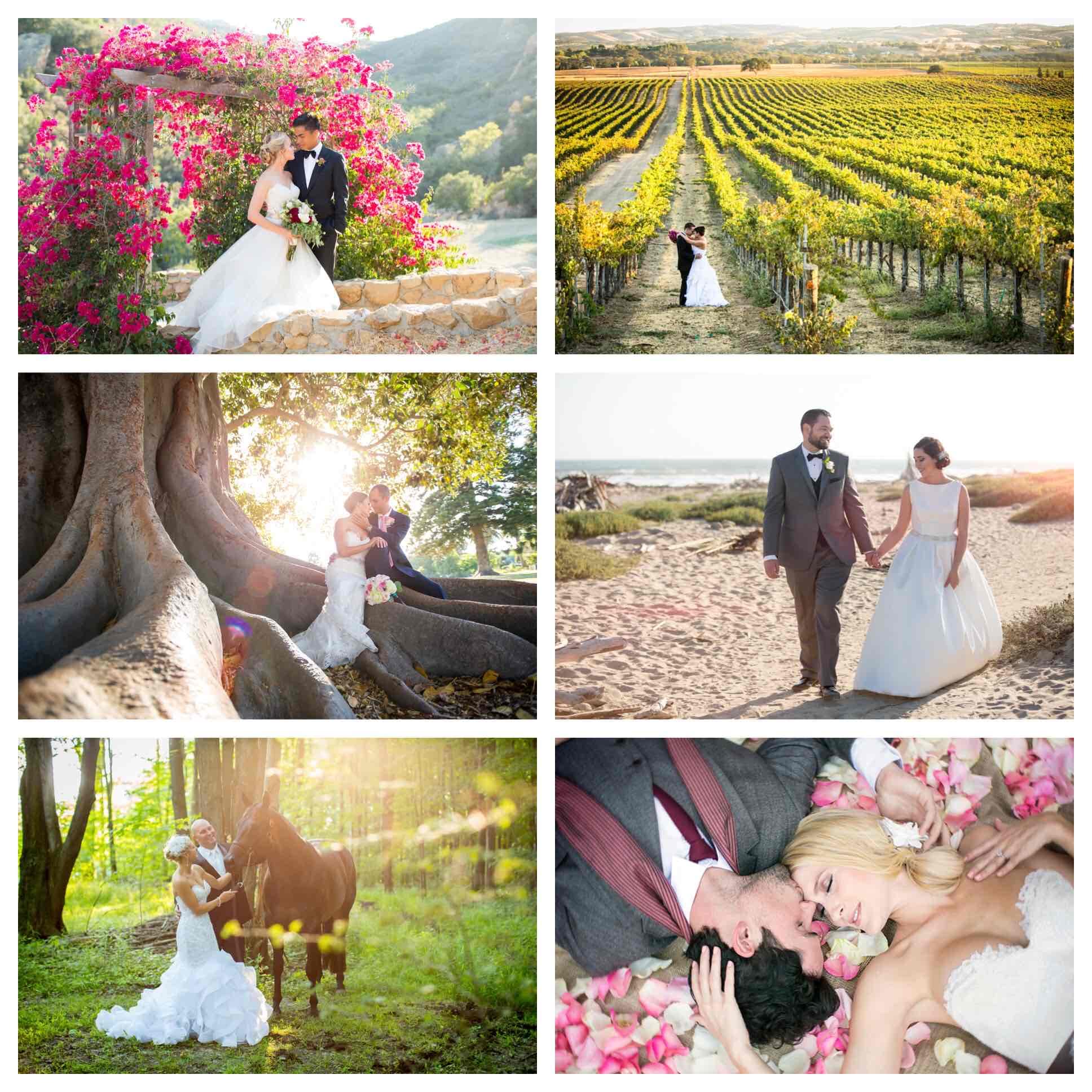 Elizabeth Victoria Photography 