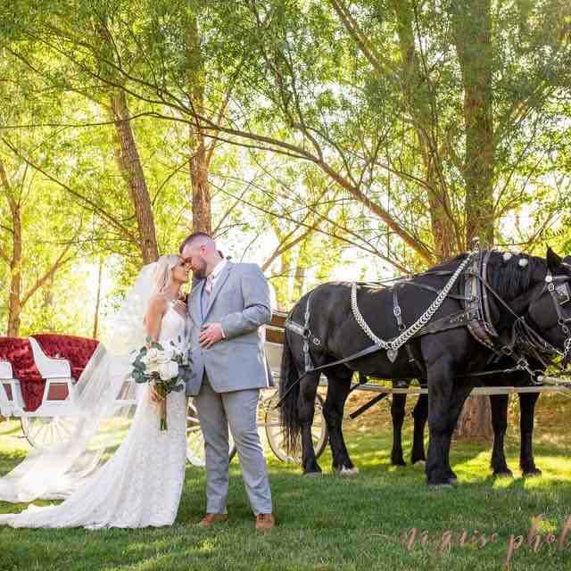 Marquise Photography  portfolio 5