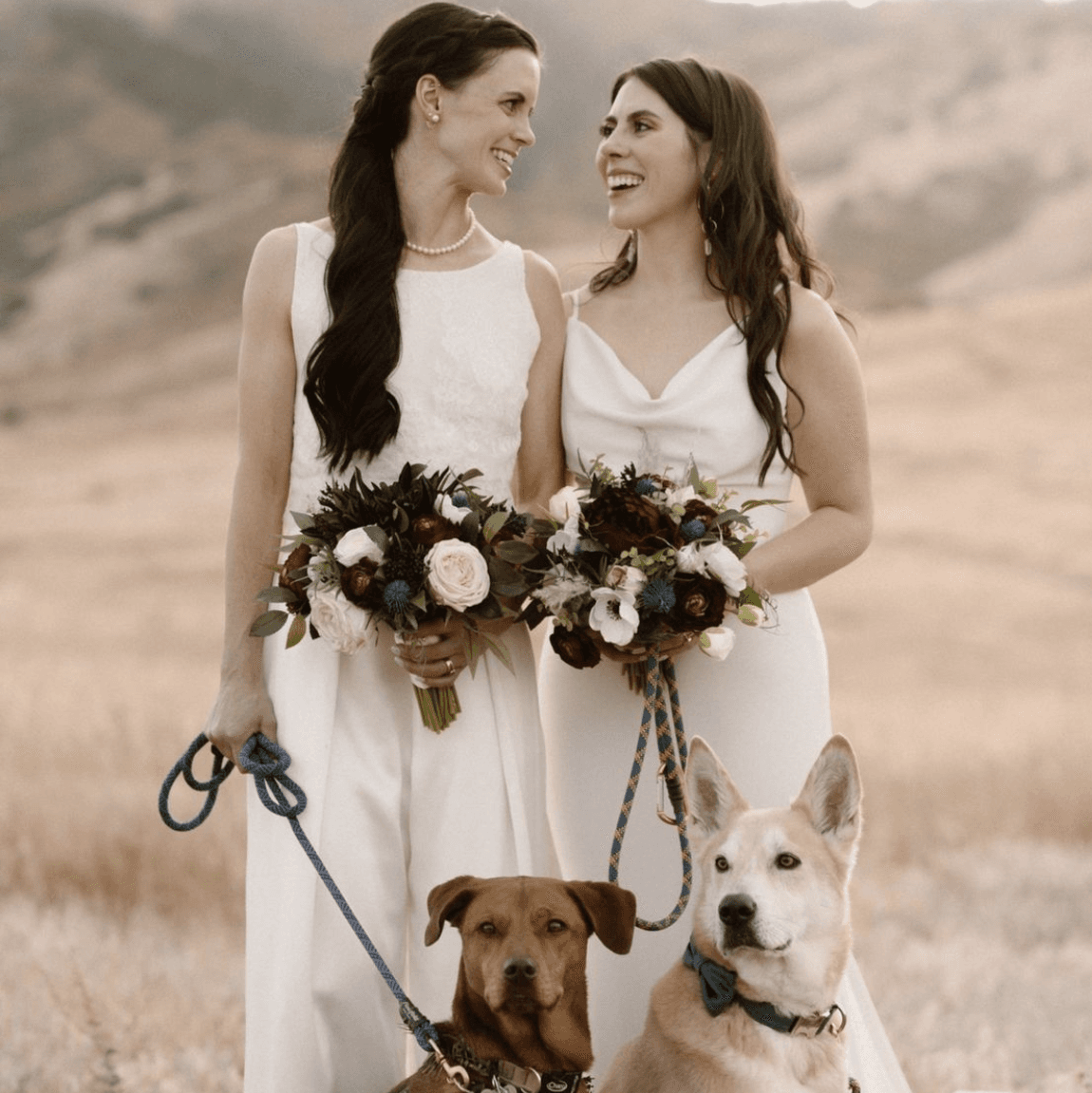 Compass Rose Floral  portfolio 2