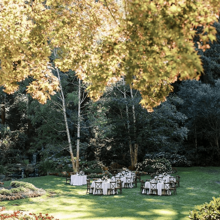 Nestldown portfolio 5