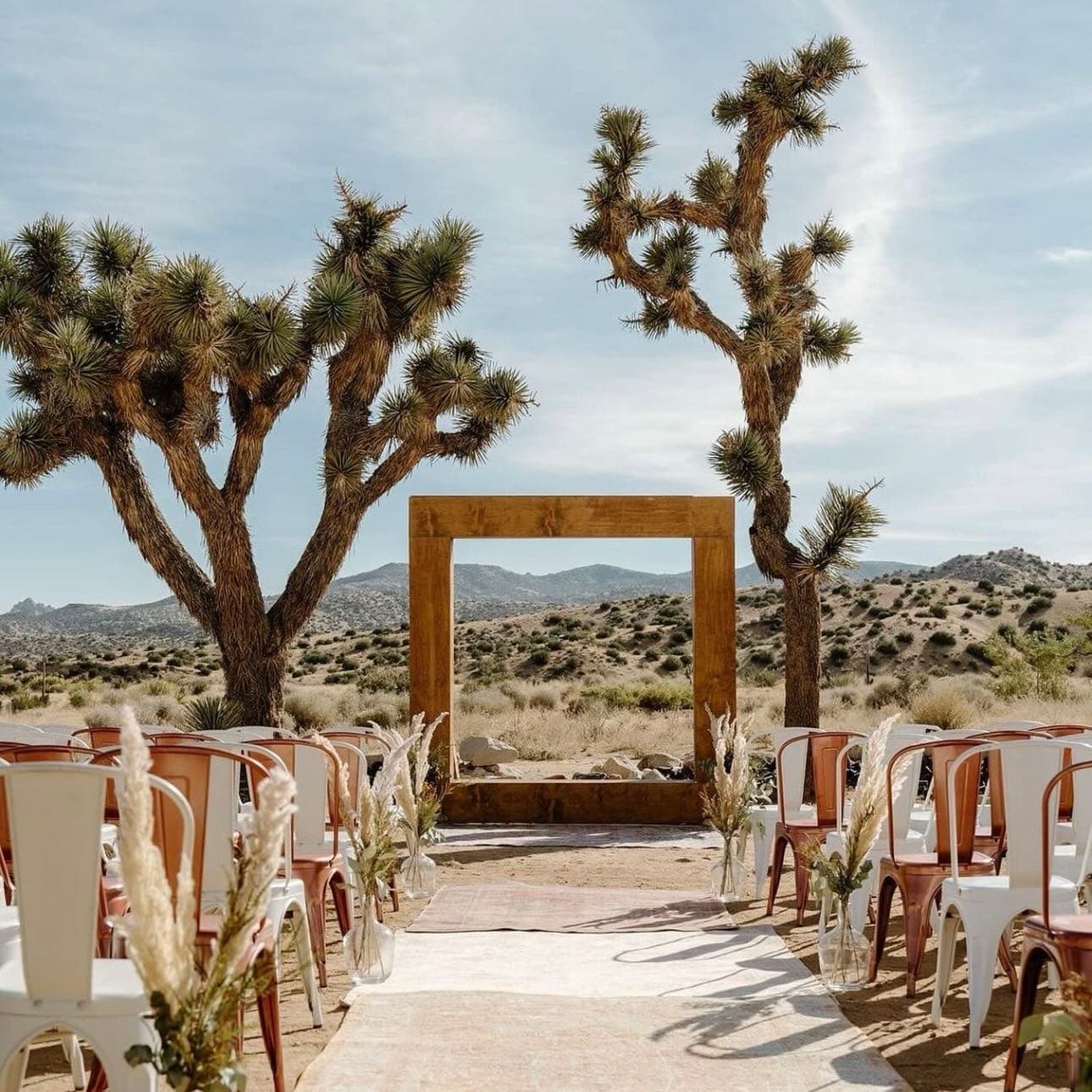 Joshua Tree Wedding 7