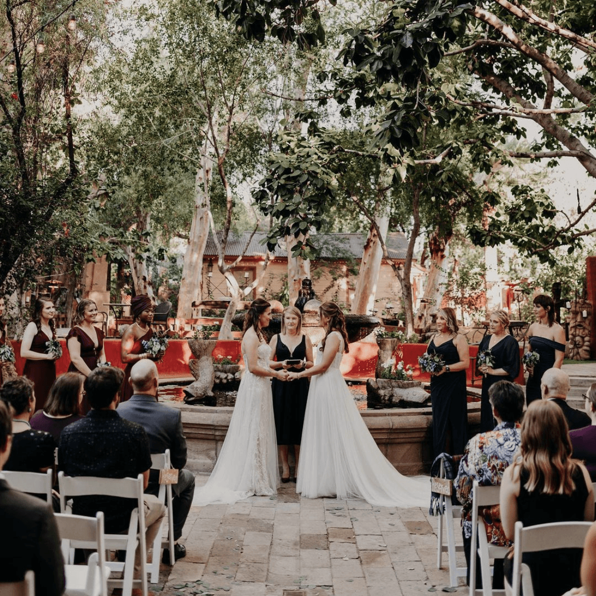 Boojum Tree Hidden Gardens