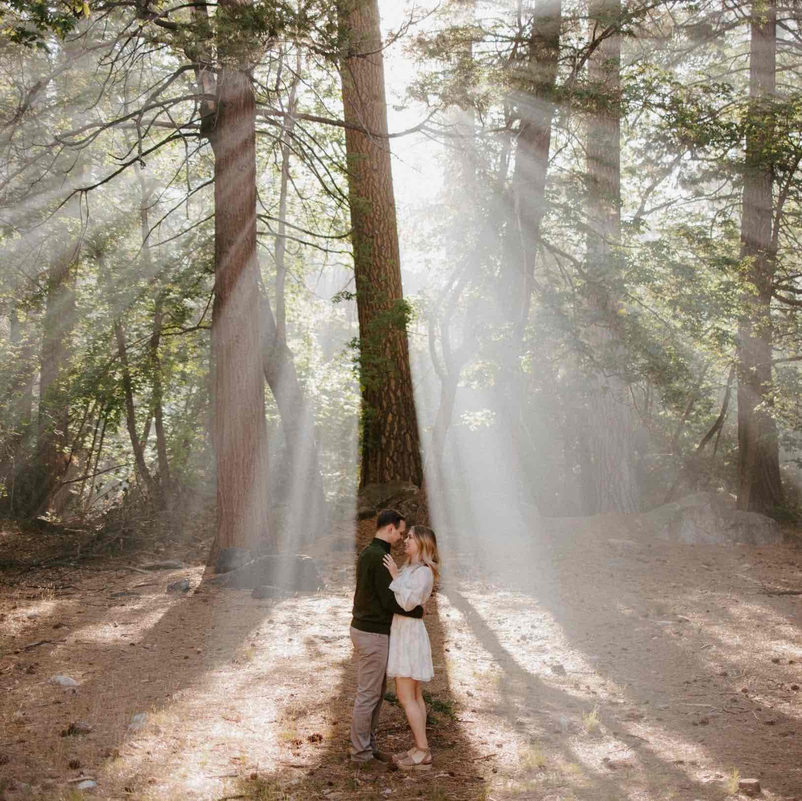 SkyHouse Retreat - Gorgeous Yosemite Getaway portfolio 2