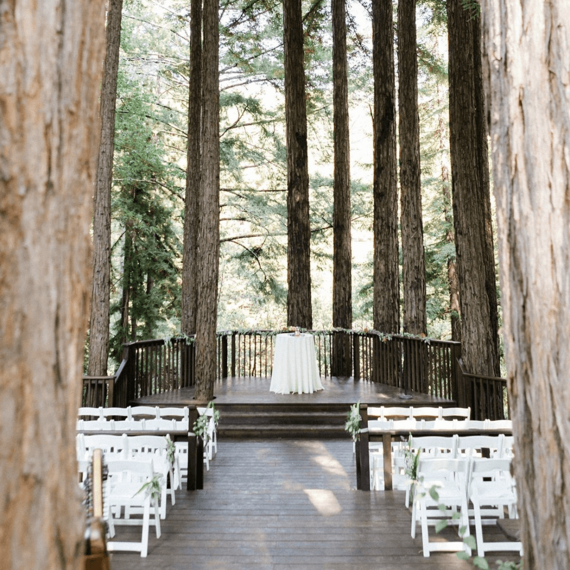 Amphitheater of the Redwoods at Pema Osel Ling portfolio 3