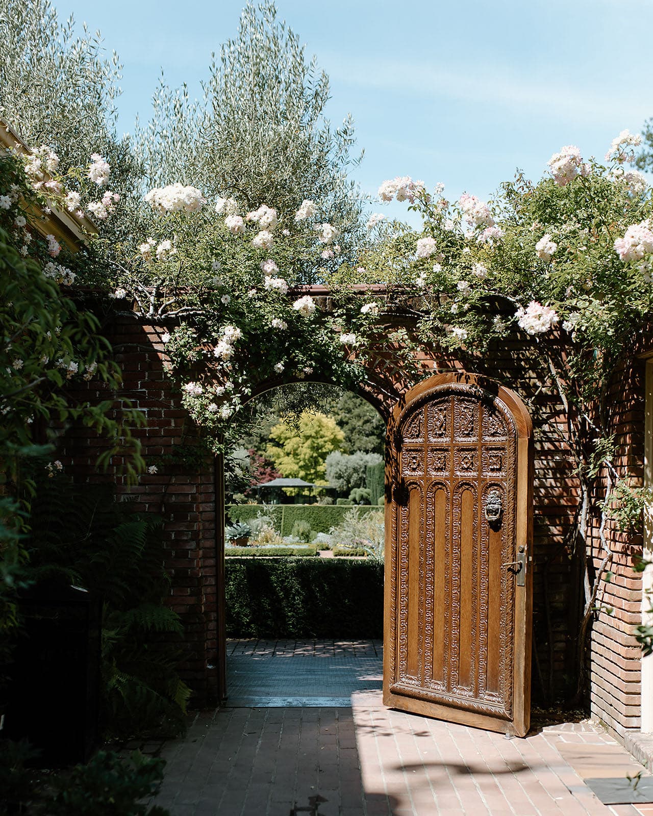 Allison upchurch Photography  portfolio 2