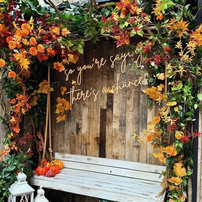 Bella Union portfolio 2