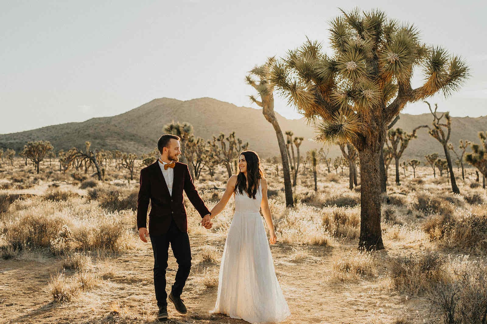 Tree of Life Films & Photos portfolio 2