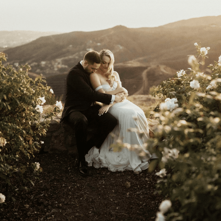 Malibu Solstice Vineyards 