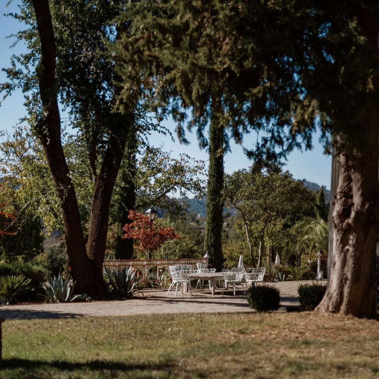 Sam Bennett Media portfolio 4