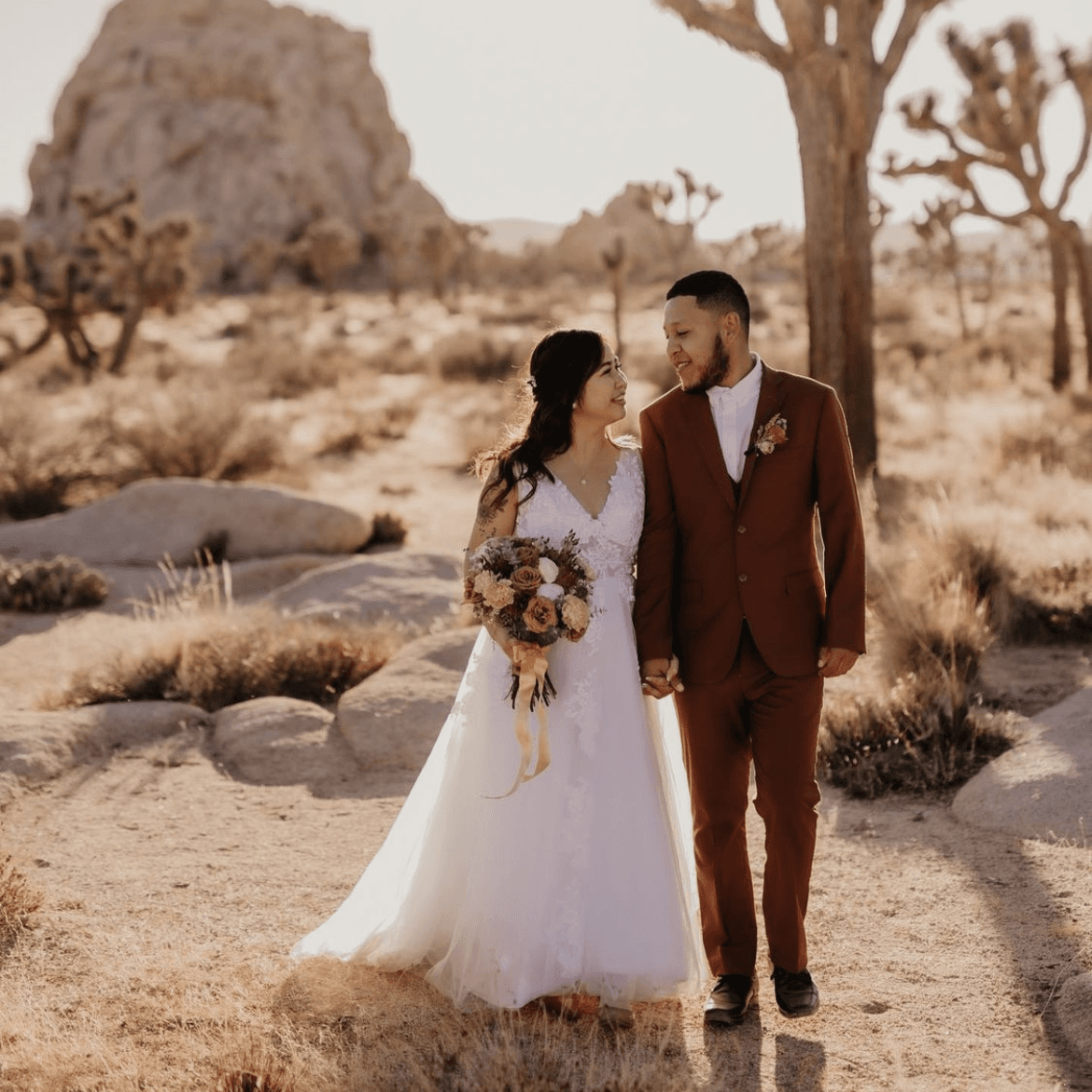 The Complete Bundle (2024)