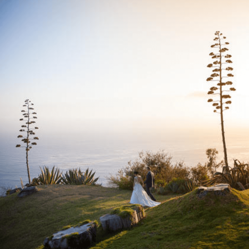 Peer Johnson Photography