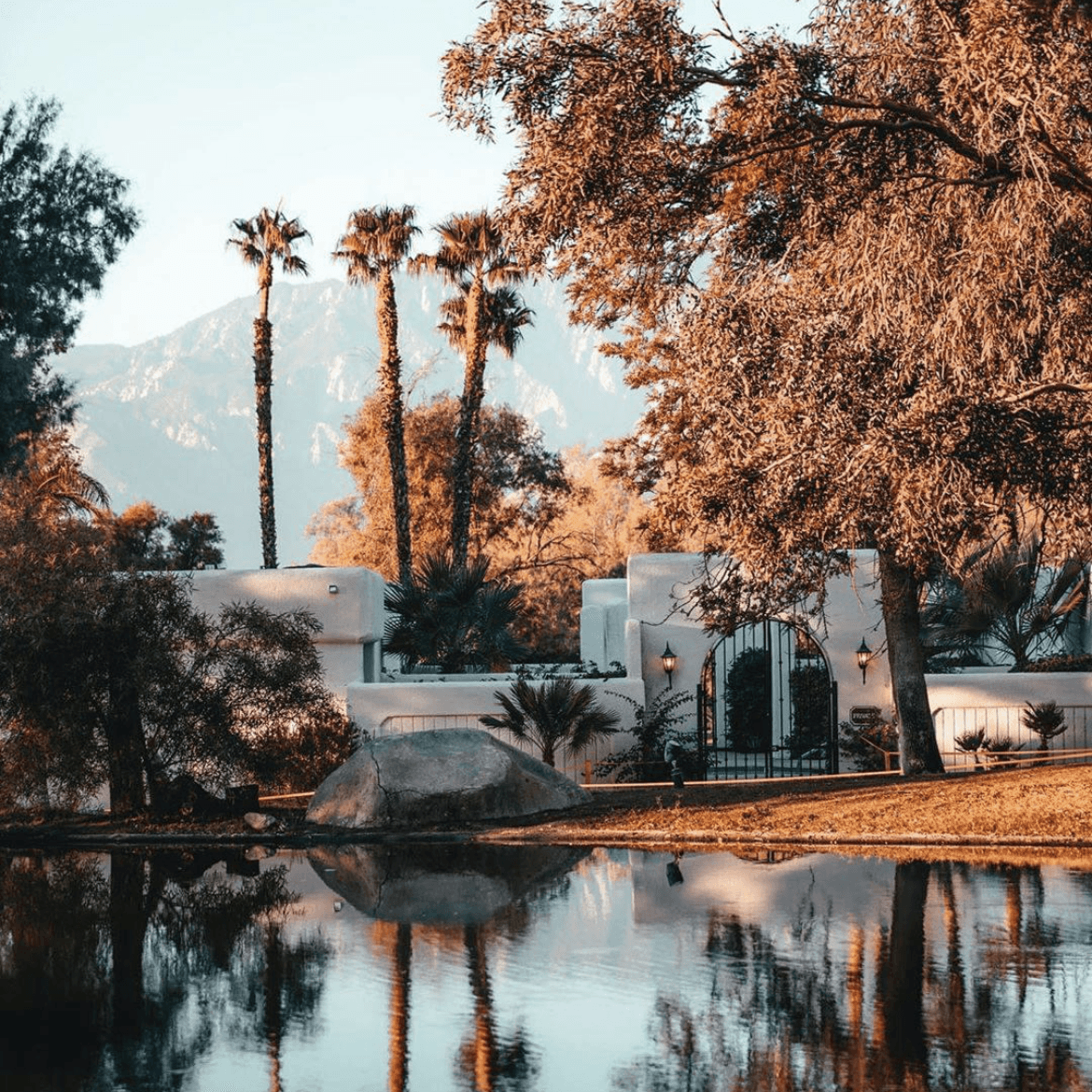 Two Bunch Palms  portfolio 4