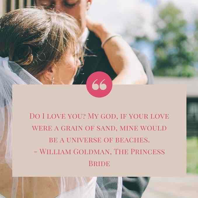 Allen’s Whispered Vows  portfolio 3