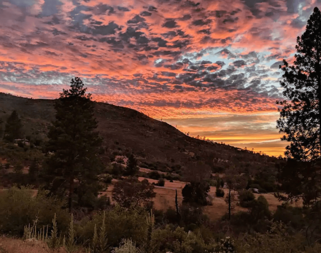 SkyHouse Retreat - Gorgeous Yosemite Getaway