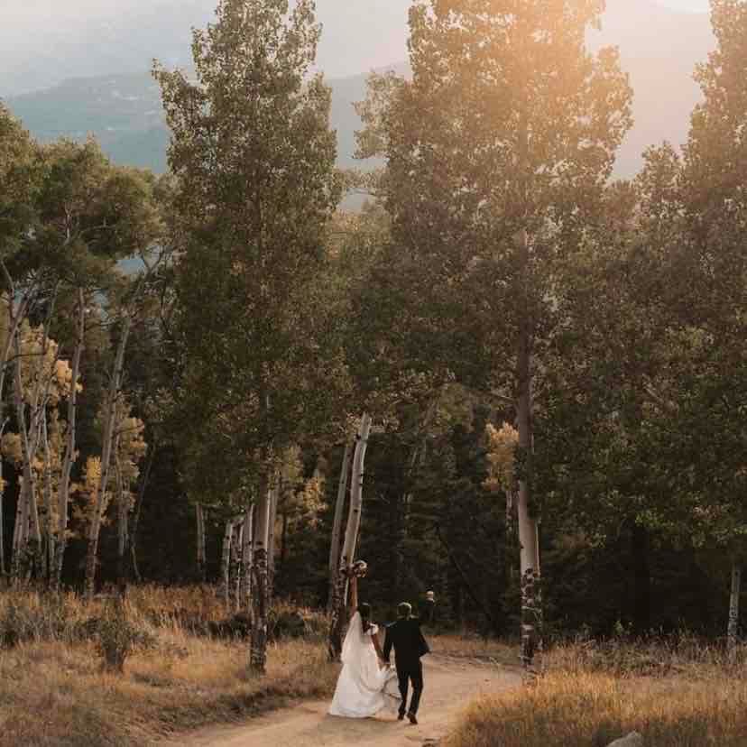 Dao House portfolio 3