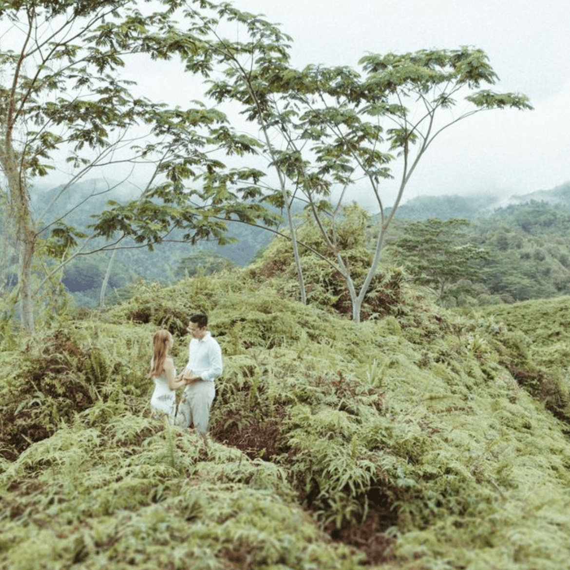 Rise In Love Photography  portfolio 5