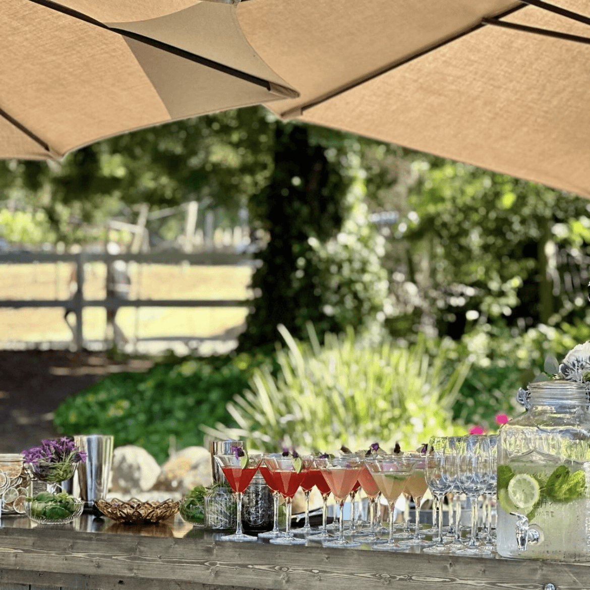 Pour Girl Bartending portfolio 5