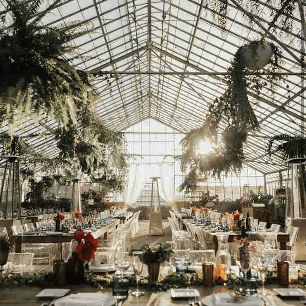 Wedding | 199 guests