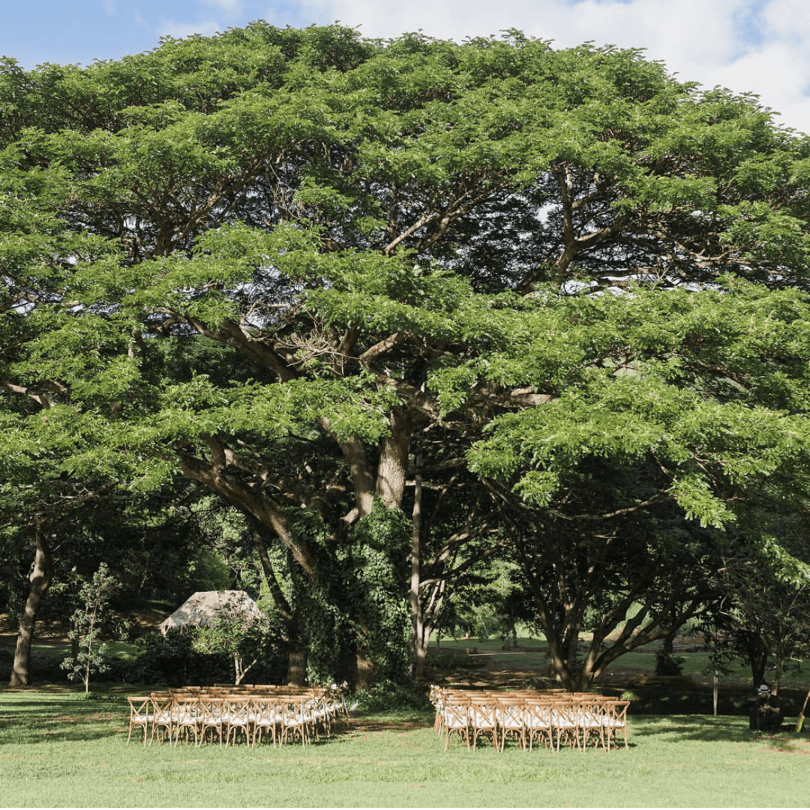 Na Aina Kai Botanical Garden & Sculpture Park