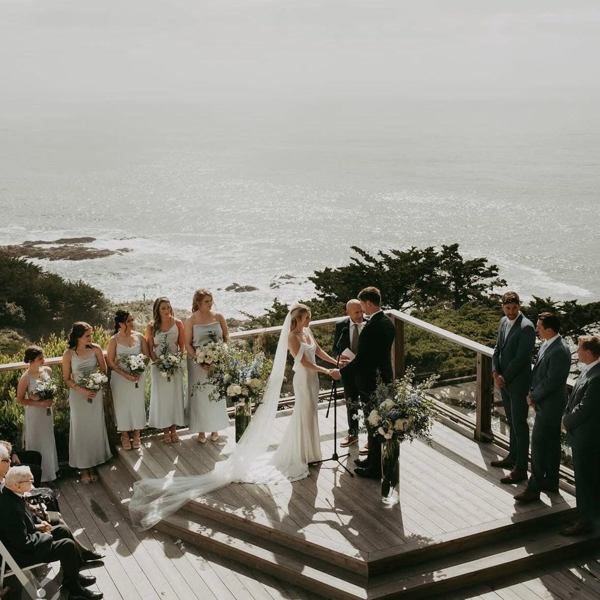 Pink Light Photography