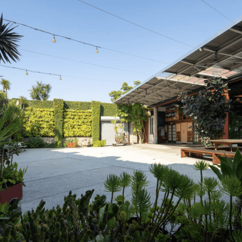 SmogShoppe portfolio 5