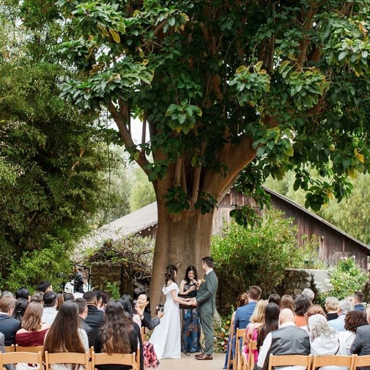 Wedding | 200 Guests