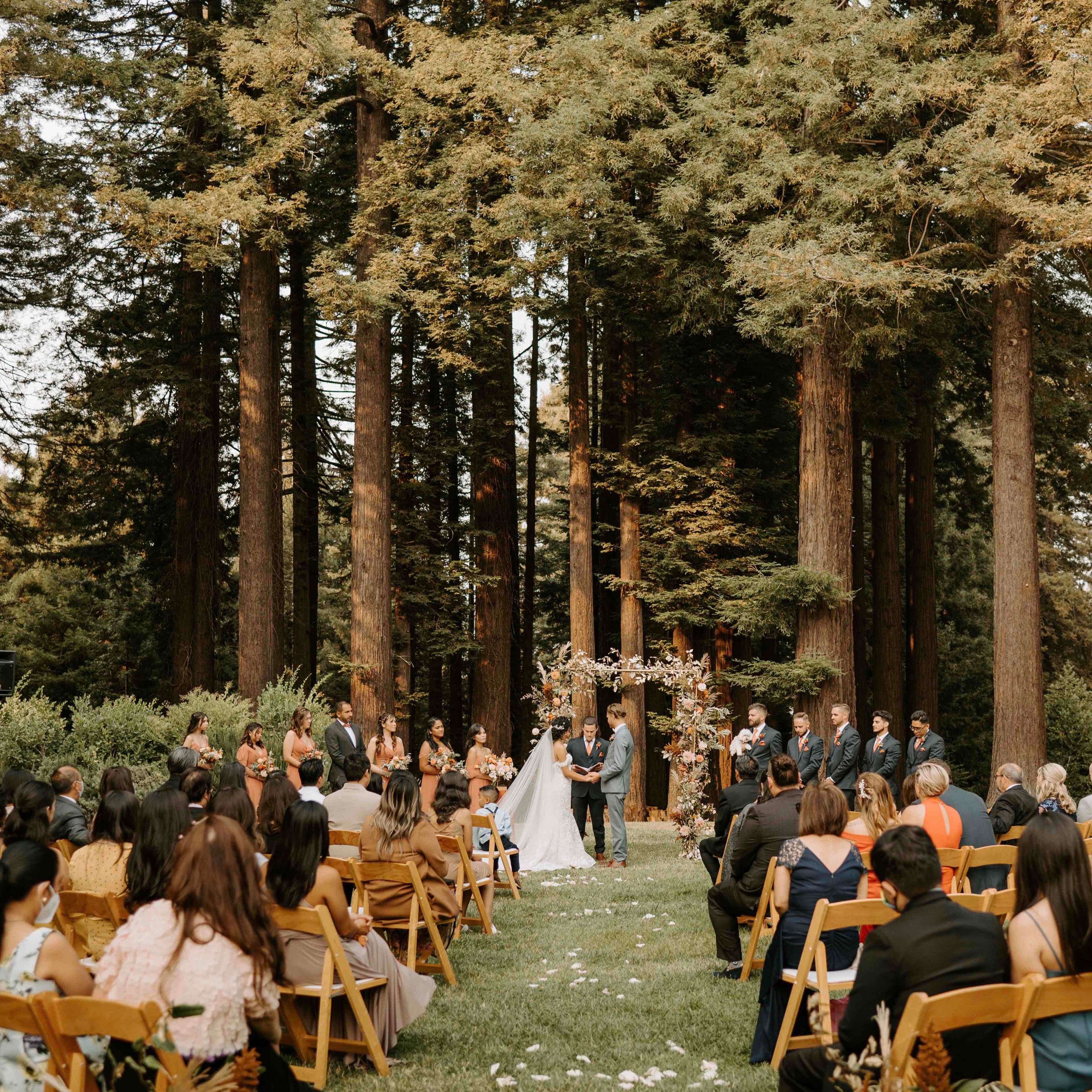 Halley Vernon Photography portfolio 5