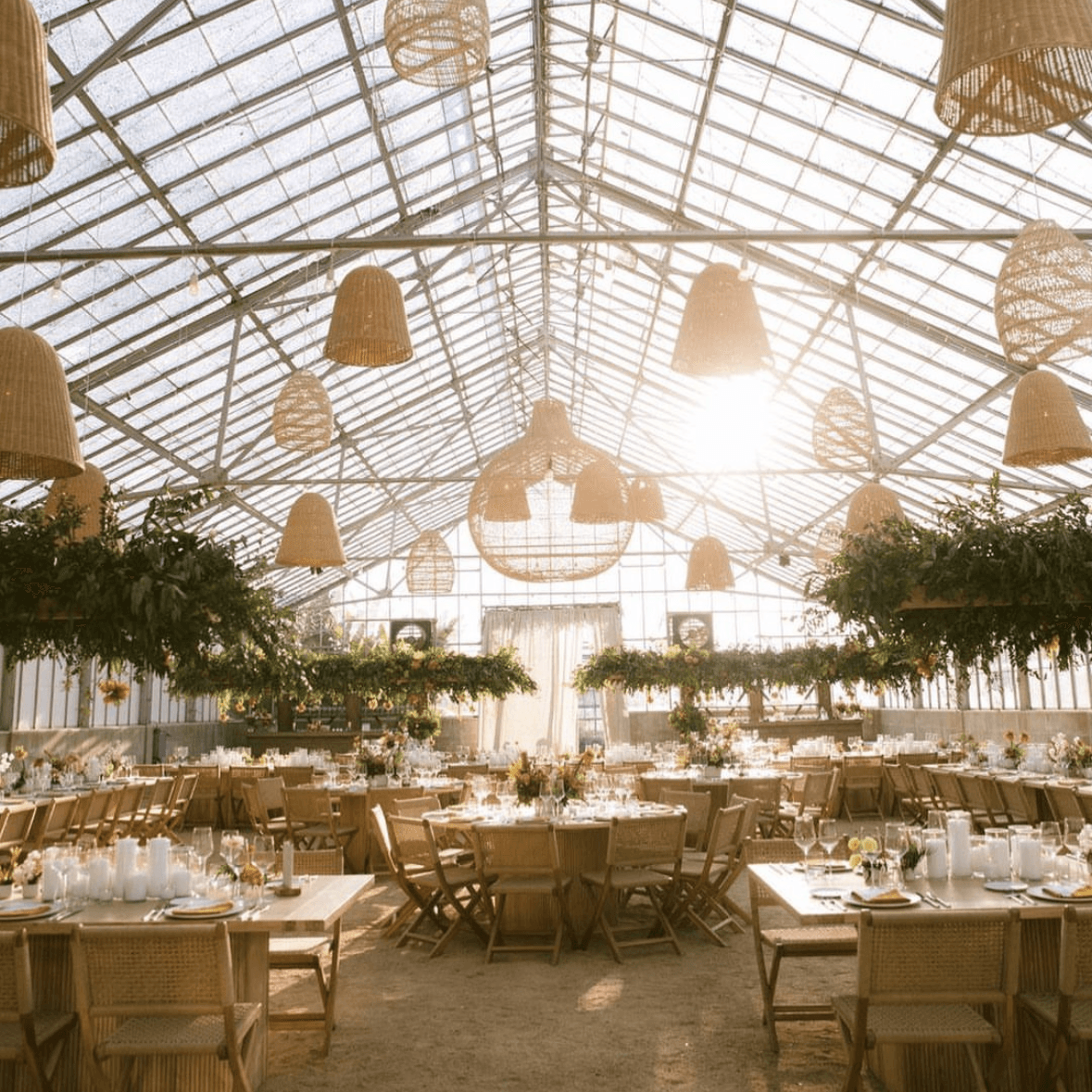 Dos Pueblos Orchid Farm portfolio 5