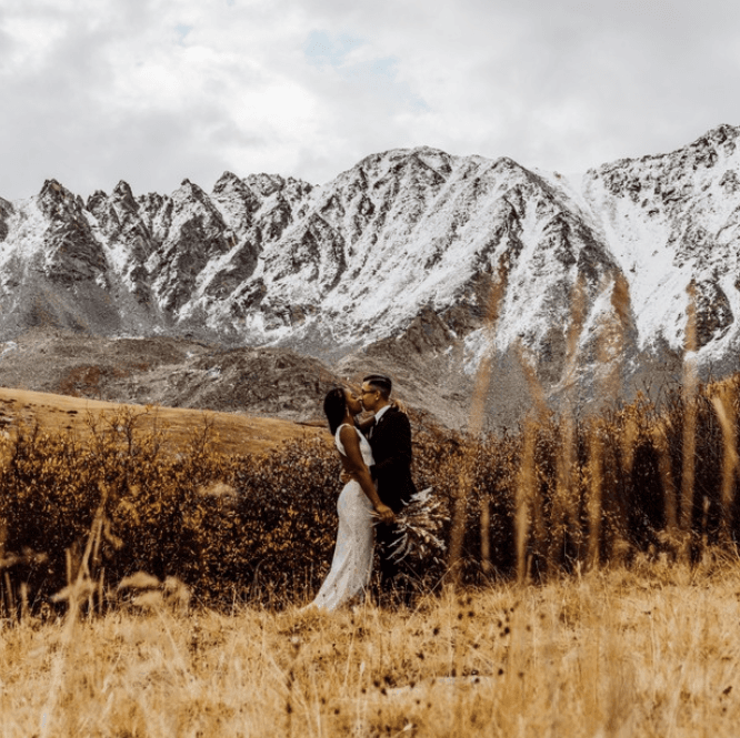 Wildflower West Collective 2