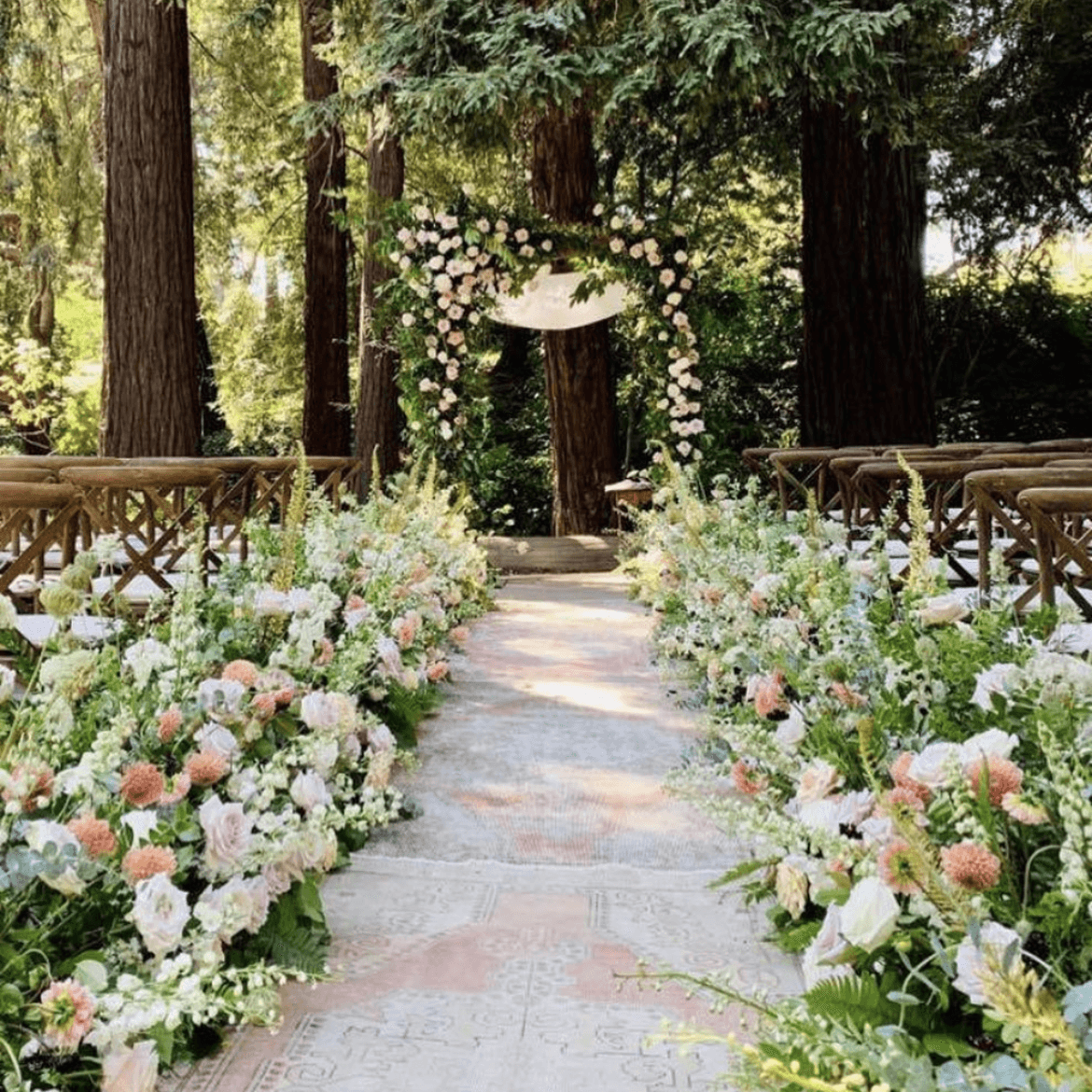 Piedmont Community Hall portfolio 2