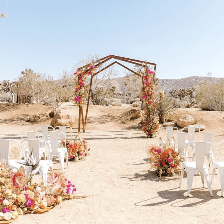 Tumbleweed Sanctuary portfolio 2