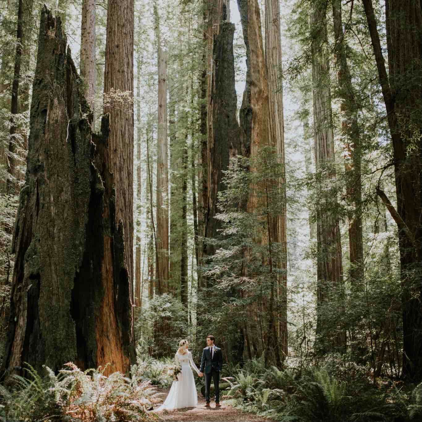 Redwoods Forest Elopement 4