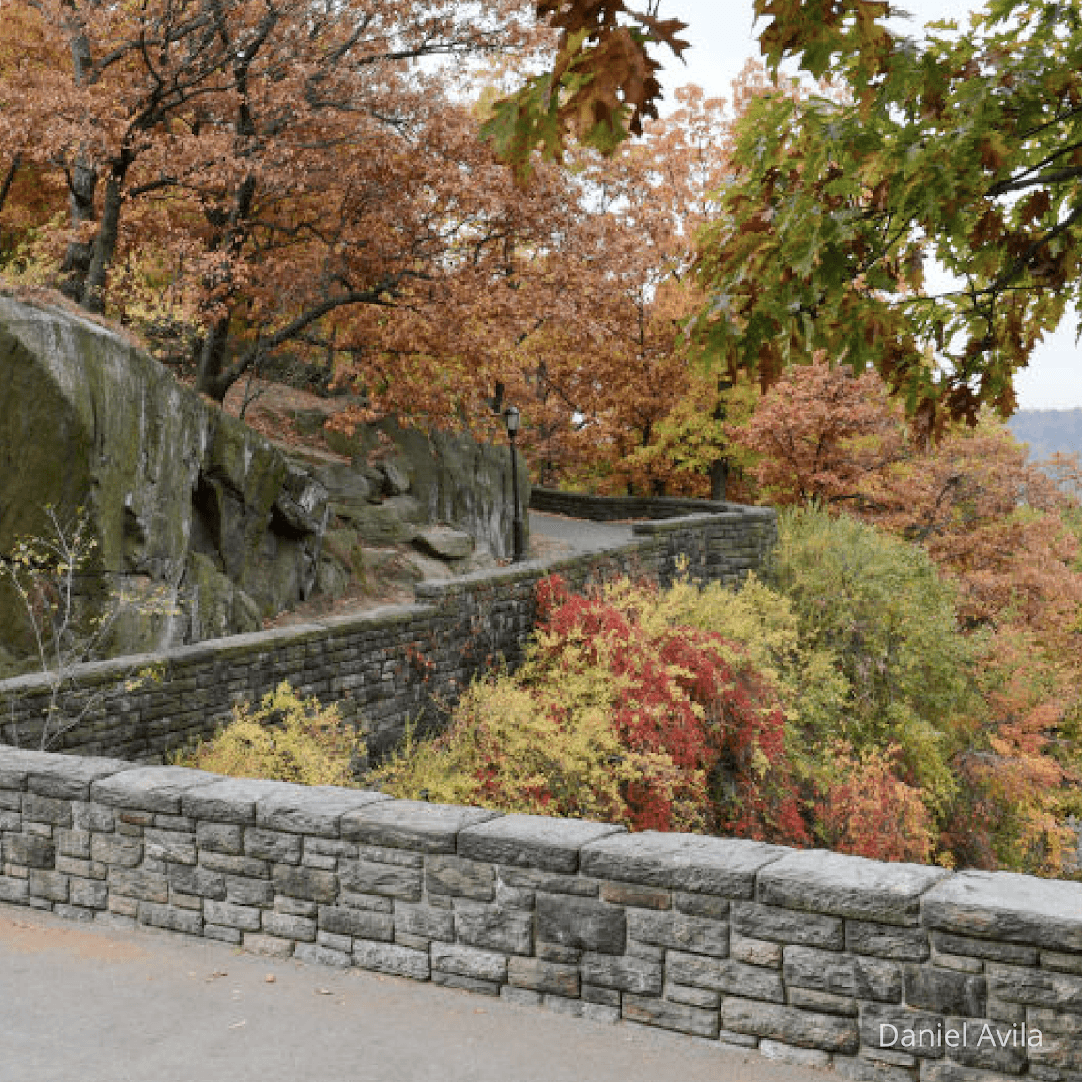Fort Tryon Park Elopement 2