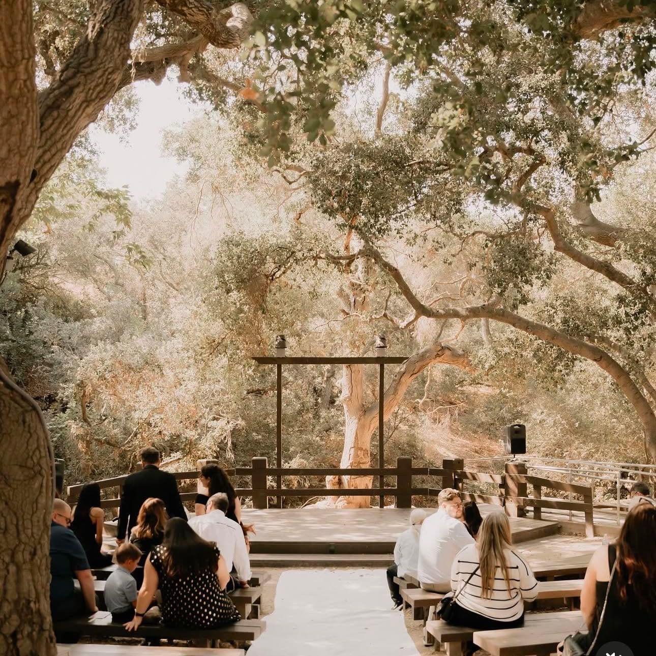 TCC Weddings