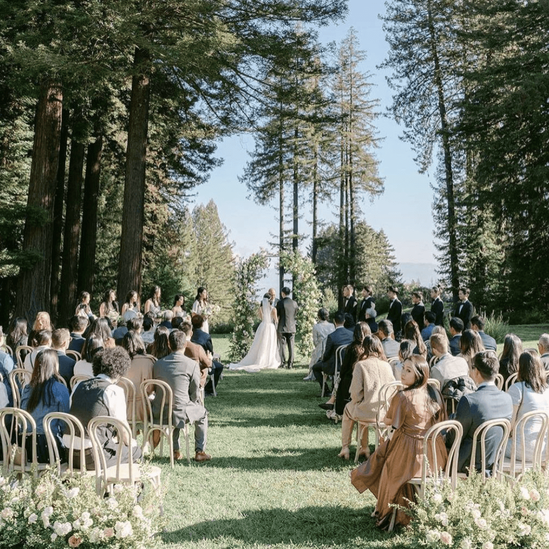 Jan & Fab | 50 Guests