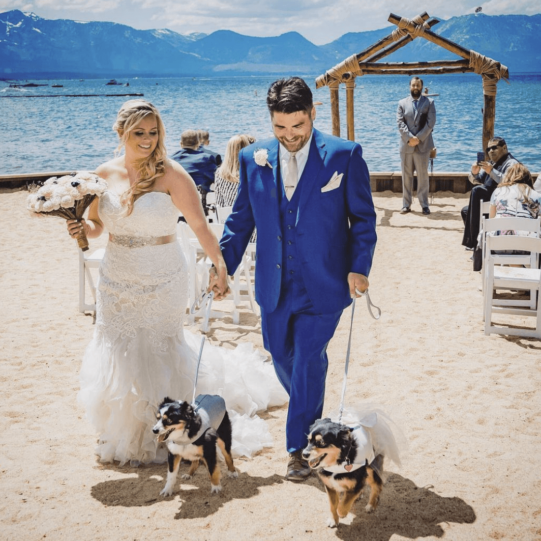 Premium (Spring and Fall)