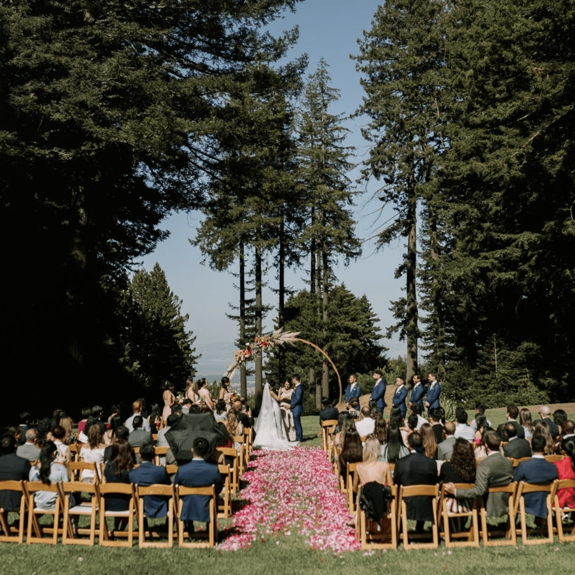 Compact High Energy Bash