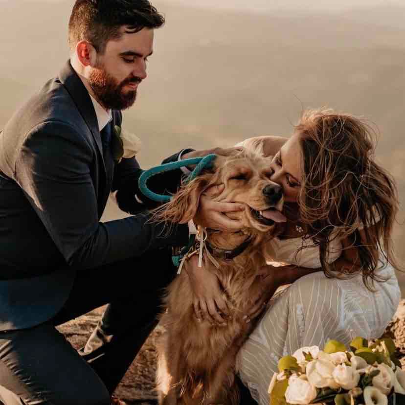 Buck Spring Gap Overlook Elopement 2