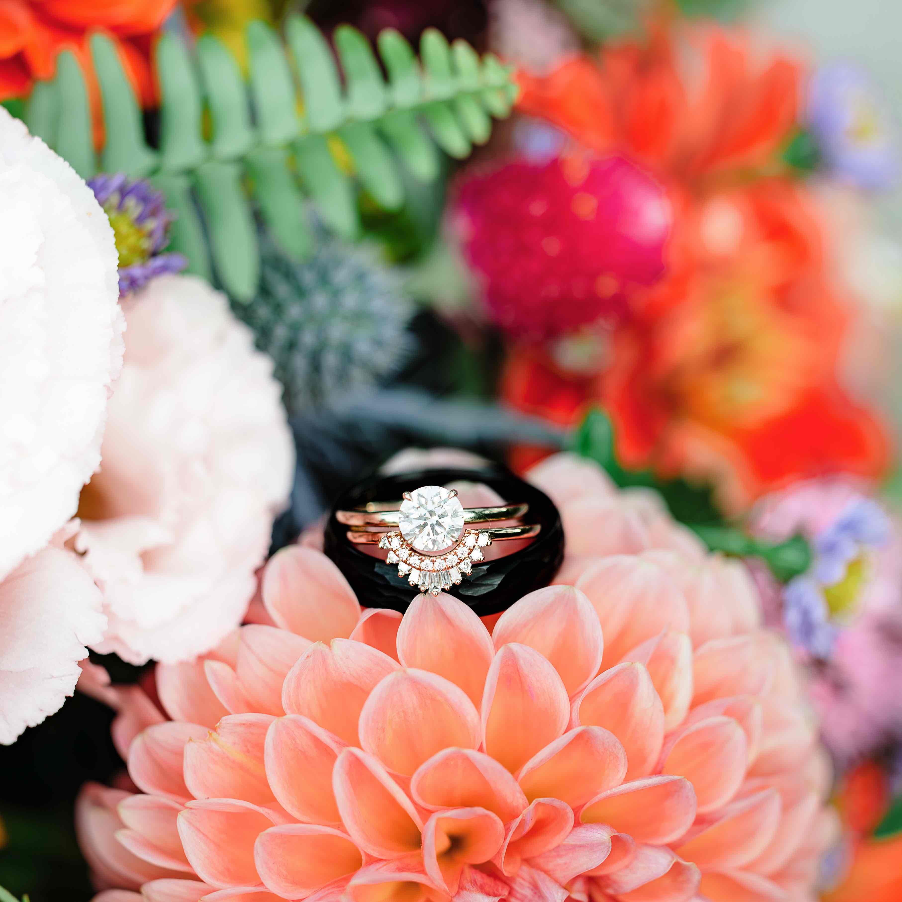 Taylor Peddicord Photography  portfolio 6