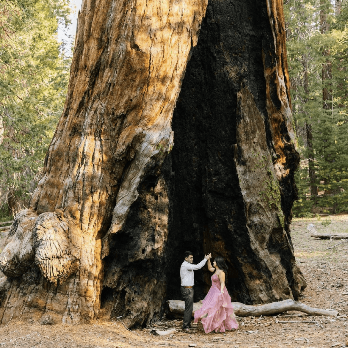 Sequoia National Park Elopement 4